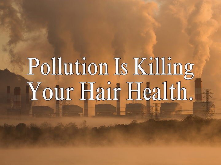 Effects of pollution on hair health