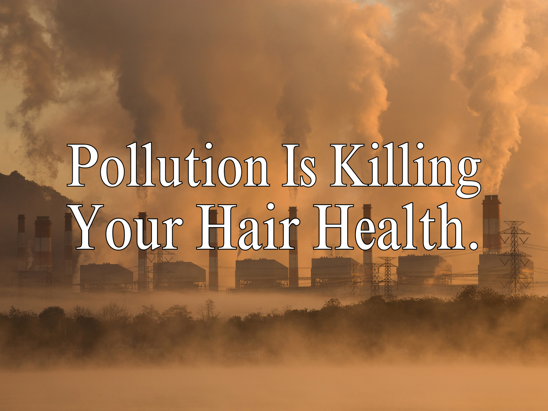 Effects of pollution on hair health