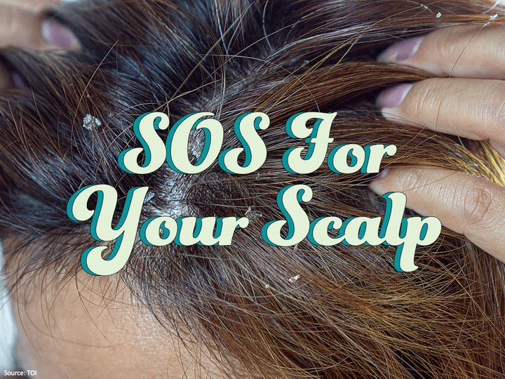 Dry Scalp & Best Scalp Oil to treat it