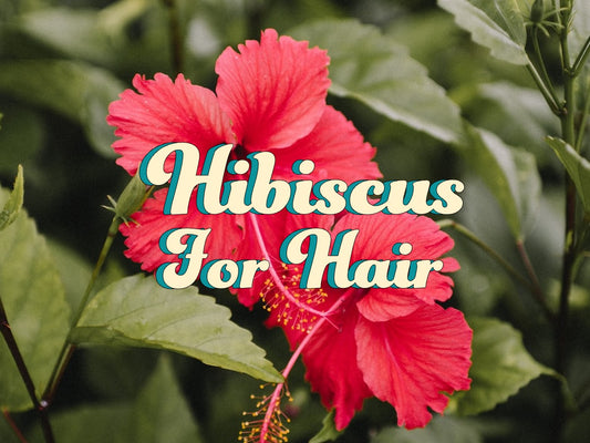 Hibiscus For hair