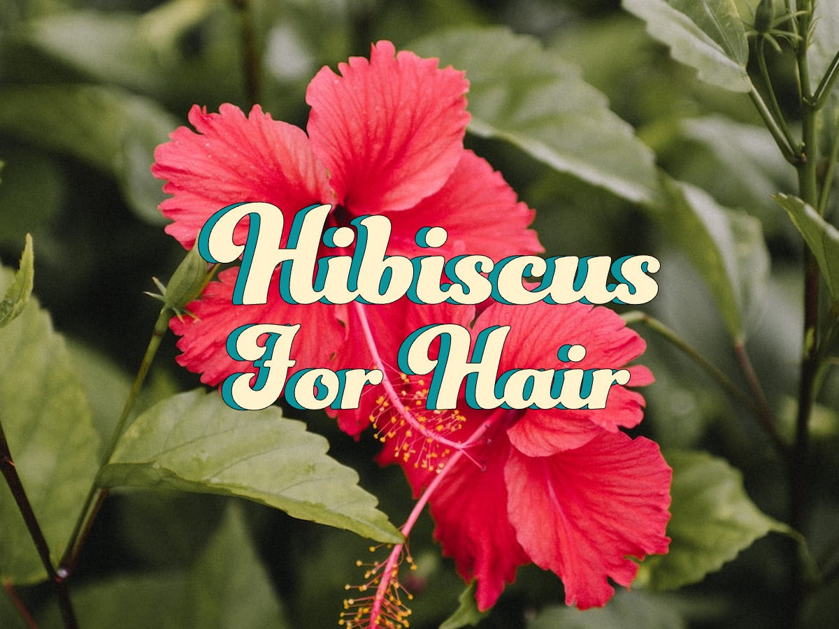 hibiscus oil for hair growth treatment