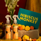 Hibiscus Monkey twin pack of velvet in shower body moisturizer
