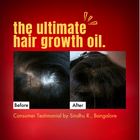 HM Love Scalp & Hair Oil - The Tin Edit