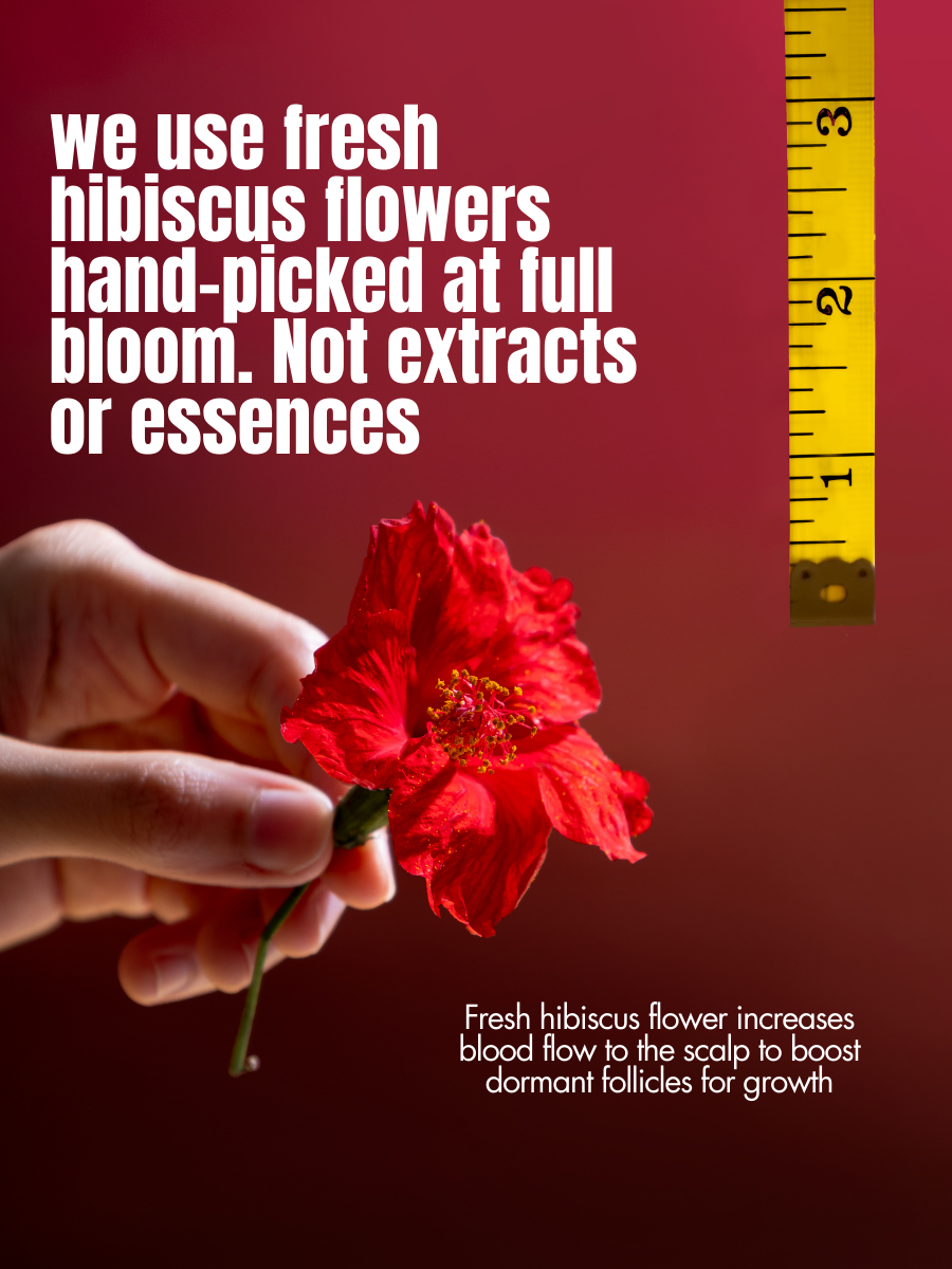 Hibiscus Flower in HM Love Hair Oil