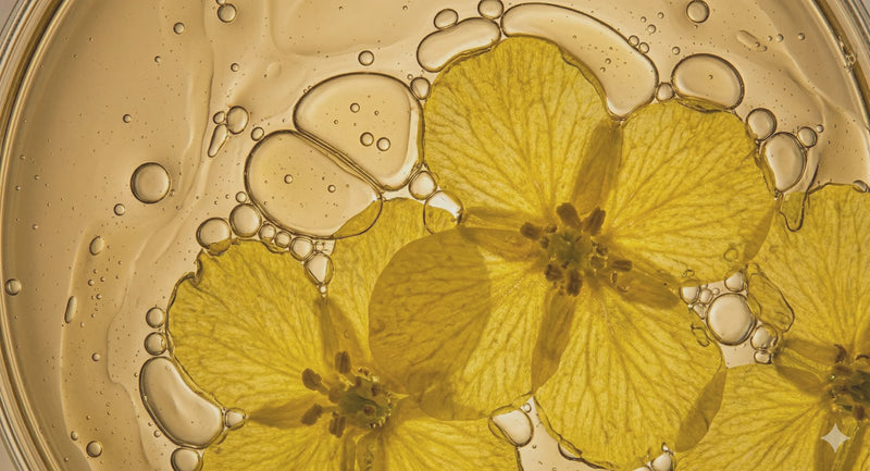 Science at our Core: Rooted in Research